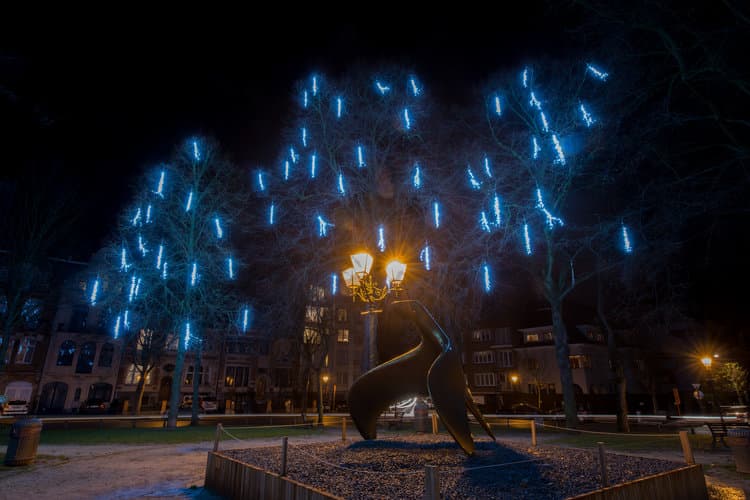 Installation Arezzo, nuit
